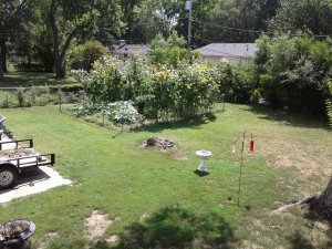 20180731_152327.jpg