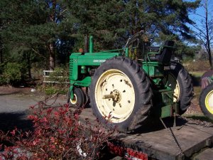100_8190 (Medium).JPG