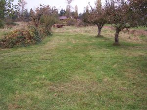 100_3404-m.JPG