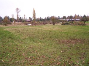 100_3405-m.JPG