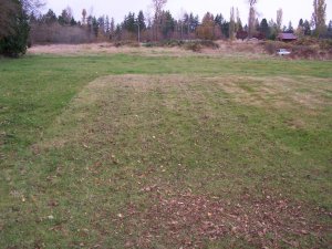 100_3406-m.JPG