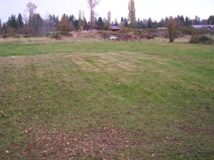 100_3407-m.JPG