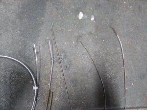 IMG_20201114_065127.jpg