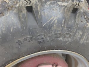 IMG_20210101_103721.jpg