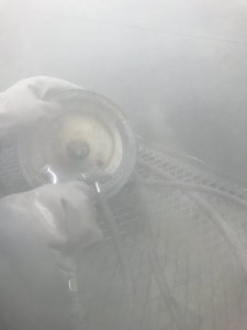 10C52A58-8763-411E-BC22-866E3E20B1AF.jpeg