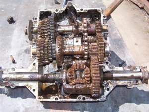 100_3053 (Medium).JPG