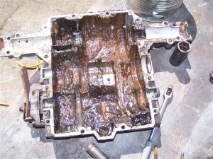 100_3054 (Medium).JPG