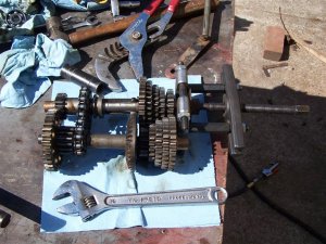 100_3069 (Medium).JPG