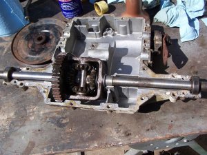 100_3070 (Medium).JPG