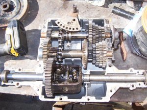 100_3072 (Medium).JPG