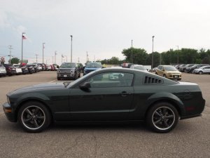 2008_ford_mustang-pic-3761736388189819164-1024x768[1].jpeg