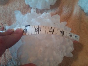 vivian hailstone circumference.jpg
