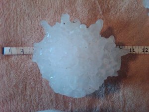 vivian hailstone.jpg