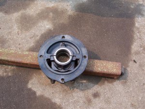 100_9847 (Medium).JPG