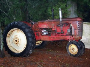 100_0005 (Medium).JPG