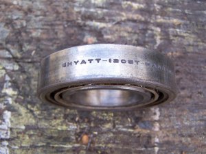 100_9923 (Medium).JPG