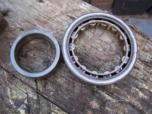 100_9924 (Medium).JPG