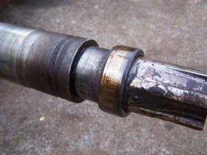 100_9925 (Medium).JPG