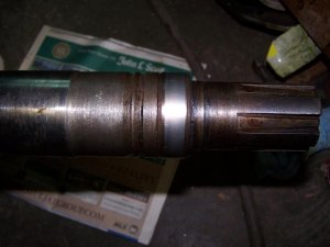 100_9927 (Medium).JPG