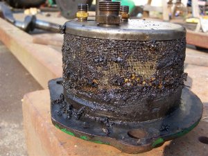 100_9943 (Medium).JPG