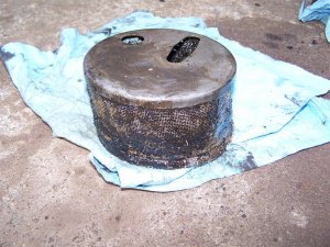100_9947 (Medium).JPG
