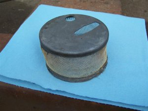 100_9950 (Medium).JPG