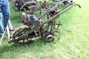 IMG_0757 (Medium).JPG