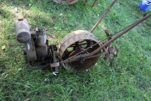 IMG_0781 (Medium).JPG