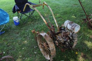 IMG_0782 (Medium).JPG