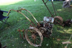 IMG_0784 (Medium).JPG
