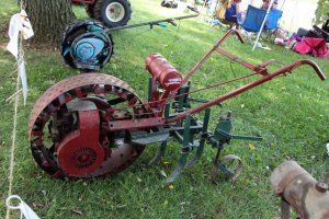 IMG_0785 (Medium).JPG