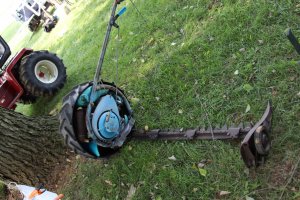 IMG_0786 (Medium).JPG