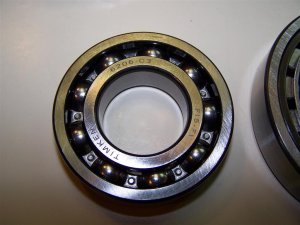 100_9955 (Medium).JPG