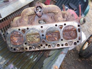 100_9994 (Medium).JPG