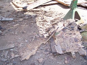 100_0042 (Medium).JPG