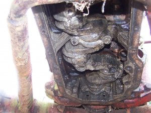 100_0063 (Medium).JPG