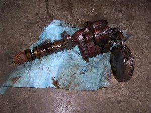 100_0064 (Medium).JPG