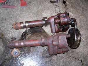 100_0065 (Medium).JPG