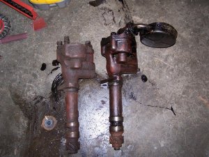100_0066 (Medium).JPG