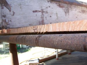100_0077 (Medium).JPG