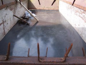100_0079 (Medium).JPG