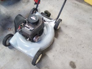 IMG_20220322_071949.jpg