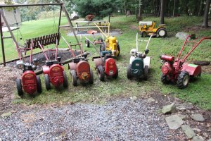 IMG_0904 (Medium).JPG