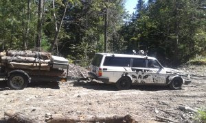 20180914_123705.jpg