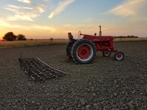Harrowing with the Farmall 400 028.jpg