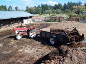 100_0242 (Medium).JPG