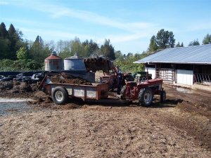 100_0244 (Medium).JPG