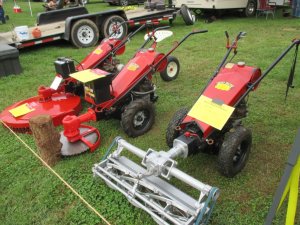 IMG_3036 (Medium).JPG