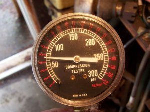 100_4011-m.JPG