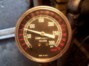 100_4015-m.JPG
